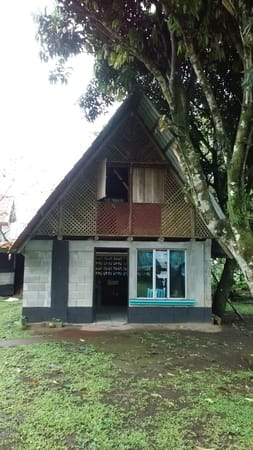 A Round Trip In The Highlands of Costa Rica: photo 11