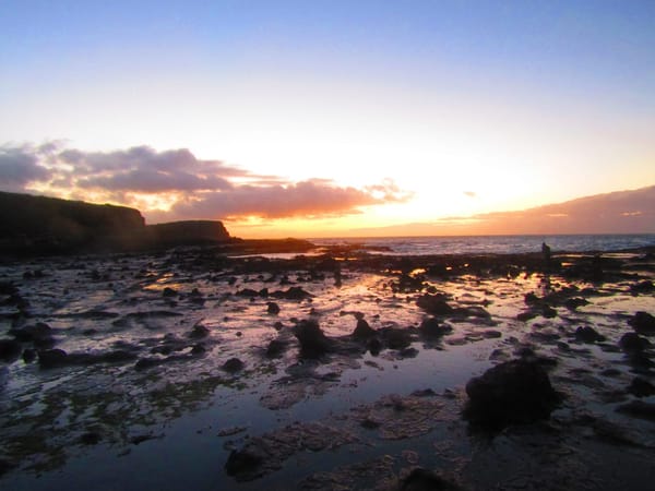 Natural wonders in the Catlins region: photo 7