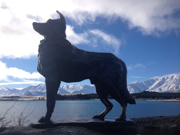 New Zealand: Southern Alps: photo 2
