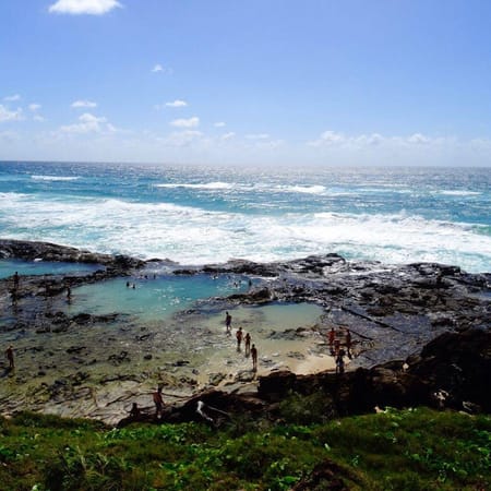 "K'gari alias Fraser Island": photo 3