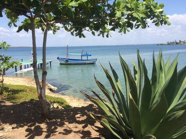 Do’s and Dont’s for an Amazing Trip to Cuba: photo 1