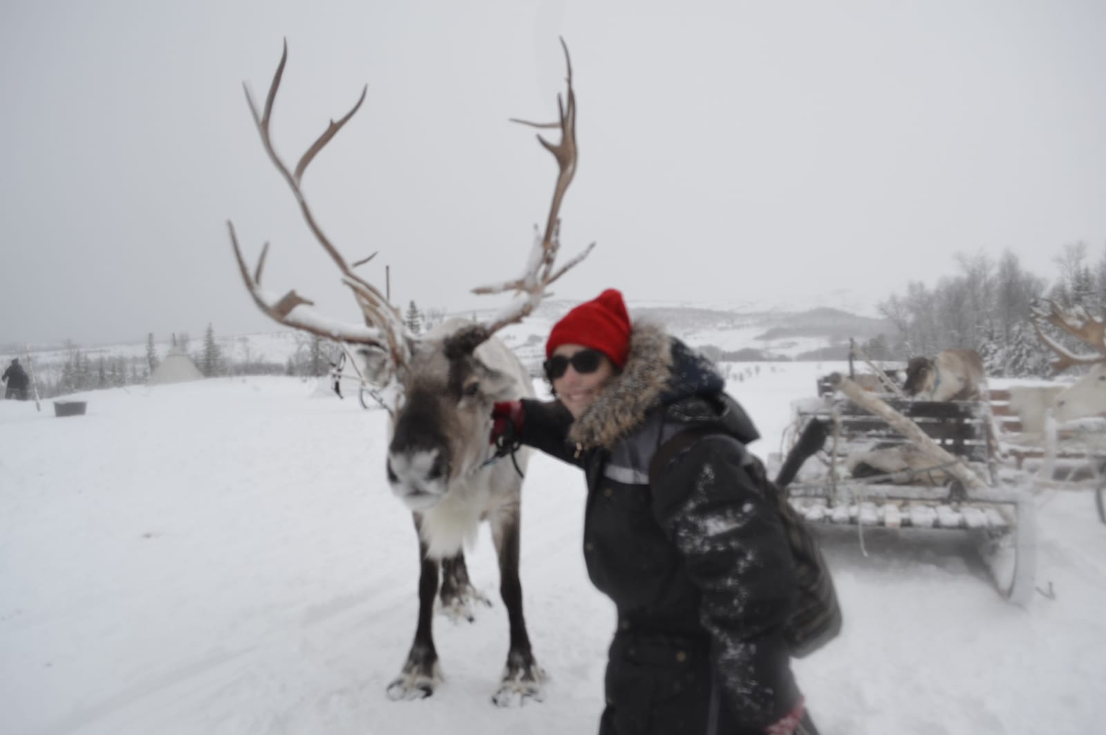 Why you should go to Norway during the winter.