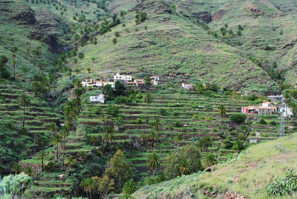 Sunny Side Up: An Insider's Guide to La Gomera's South: photo 9