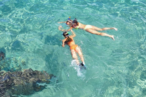 Cairns: top 10 adventure activities for backpackers: photo 3