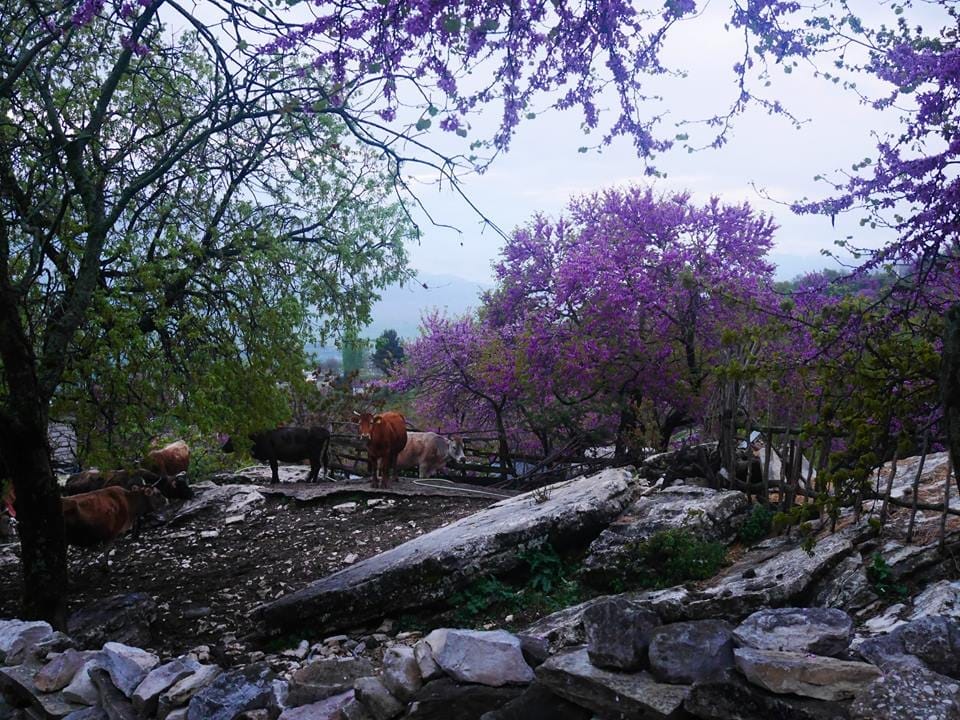 Why you should go to Albania (and why you’ll love it)