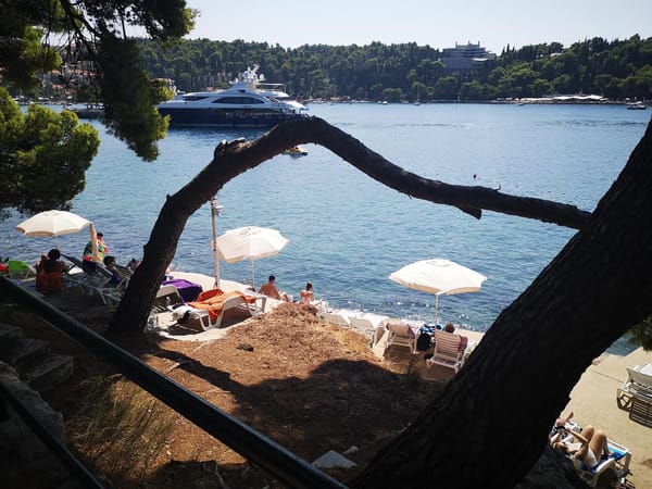 Vacation on the Dalmatian Sea: photo 14