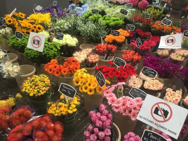 All about Amsterdam in 2 days: photo 9
