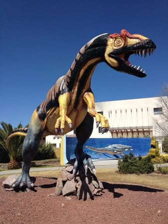 How to do Pachuca, Mexico, like a local.: photo 4