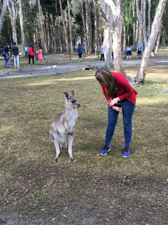 Gold Coast, Australia : The perfect holiday destination: photo 13