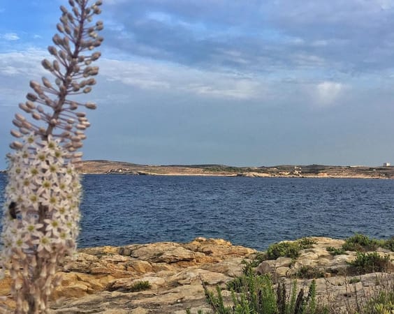 The Best Things to do on the Island of Gozo, Malta: photo 1