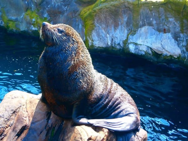 The Best Of English Torquay: photo 11