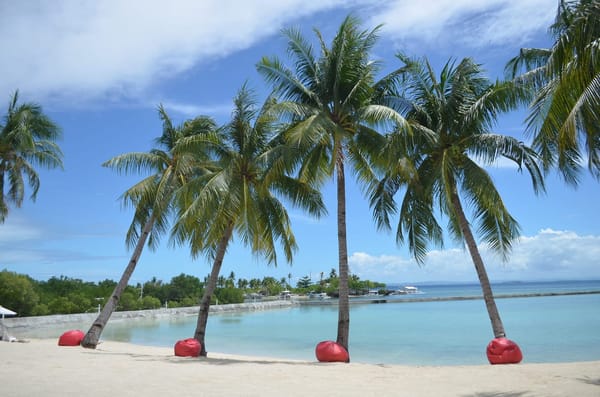 Top 5 Reasons Why You Should Visit Cebu, Philippines: photo 10