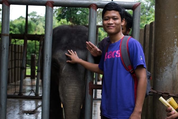 Kuala Gandah, Pahang: Awareness and Affection for Elephants: photo 4