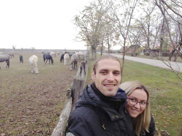 Đakovo, Croatia; town of lipizzans and long tradition: photo 6
