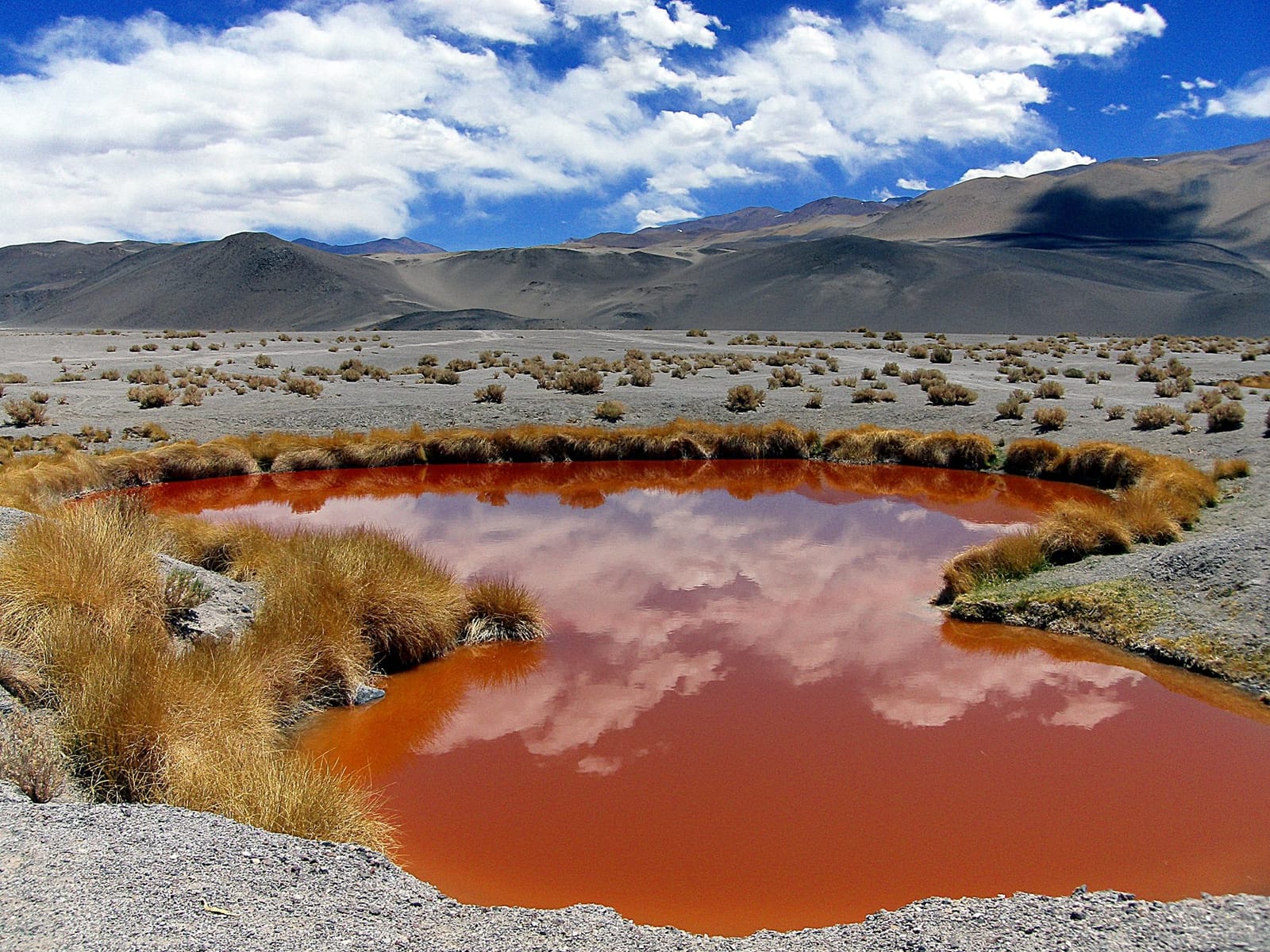 Argentina for adventurers, Antofagasta de la Sierra