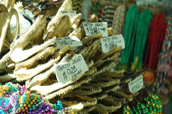 New Orleans in a rush: where to go when you are short on time: photo 11