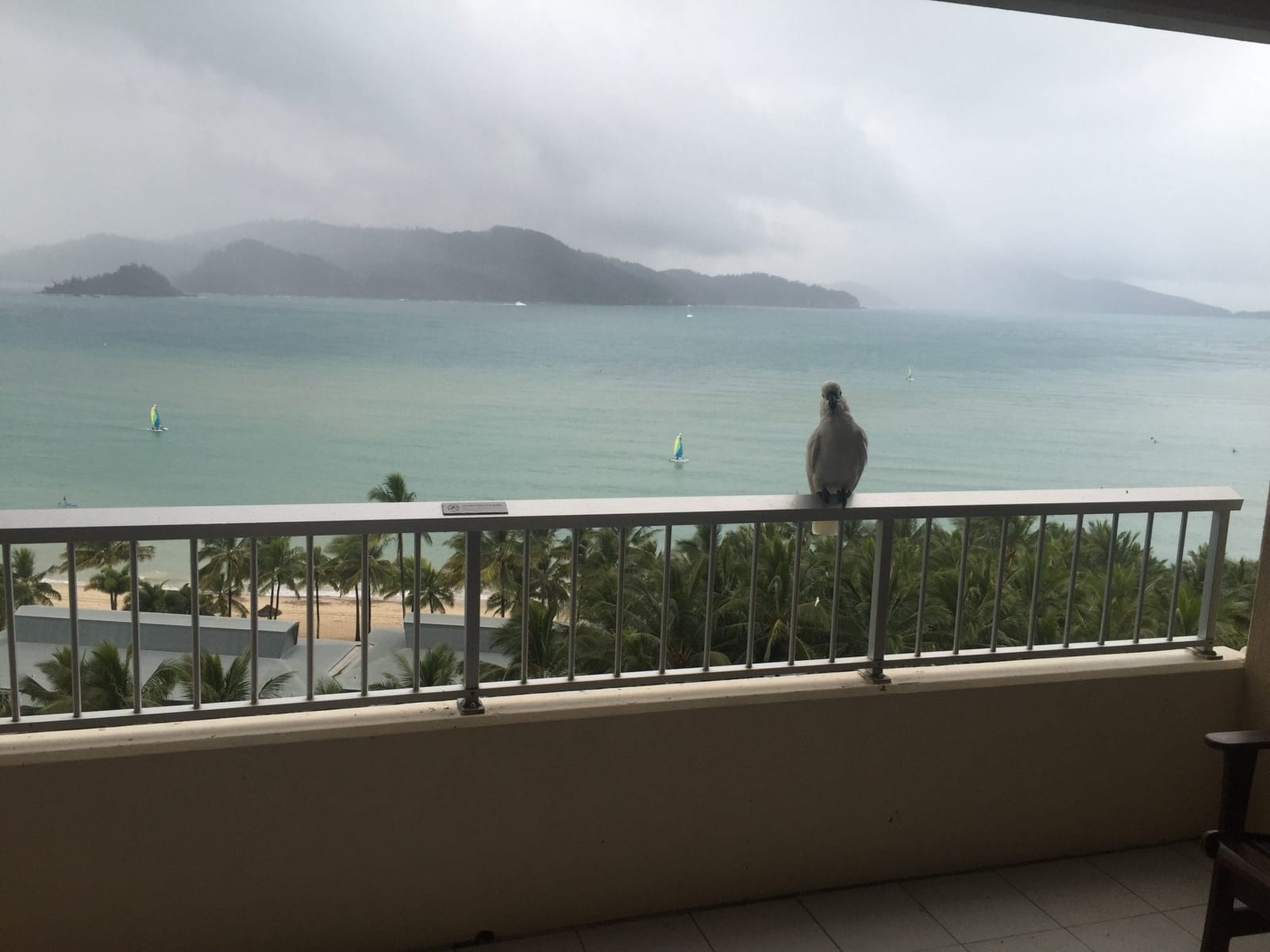 The hidden gem of Australia-Hamilton Island