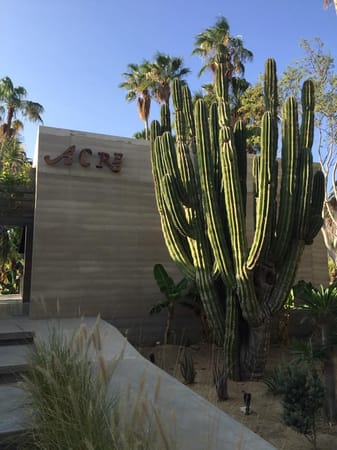 Top 5 Best Things in San Jose del Cabo, Mexico: photo 2