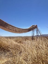 Lake Titicaca and All Its Glory: photo 3
