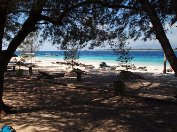The Gili Islands: Which is the most venomous snake in the world?: photo 2