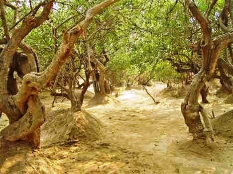 Famous Places To Visit In Vrindavan, Mathura : Holy Town of India: photo 2