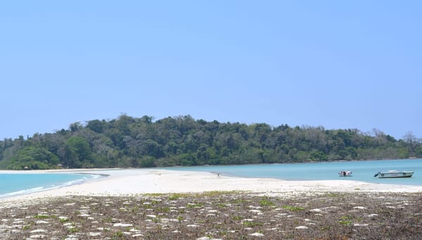 Andaman and Nicobar: perfect holiday spot.: photo 7