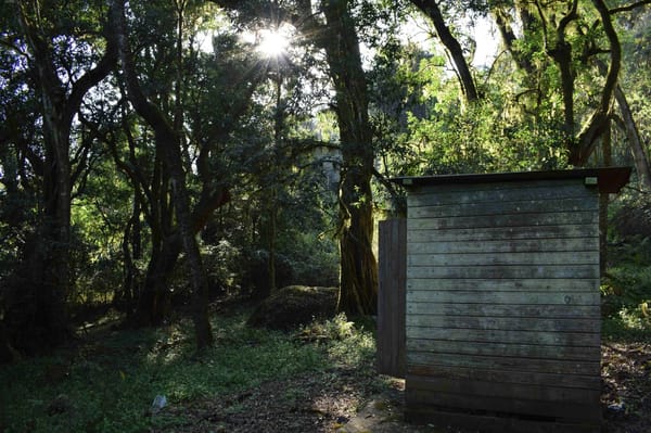 Exploring the Soutpansberg mountain range: Hanglip Nature Reserve: photo 2