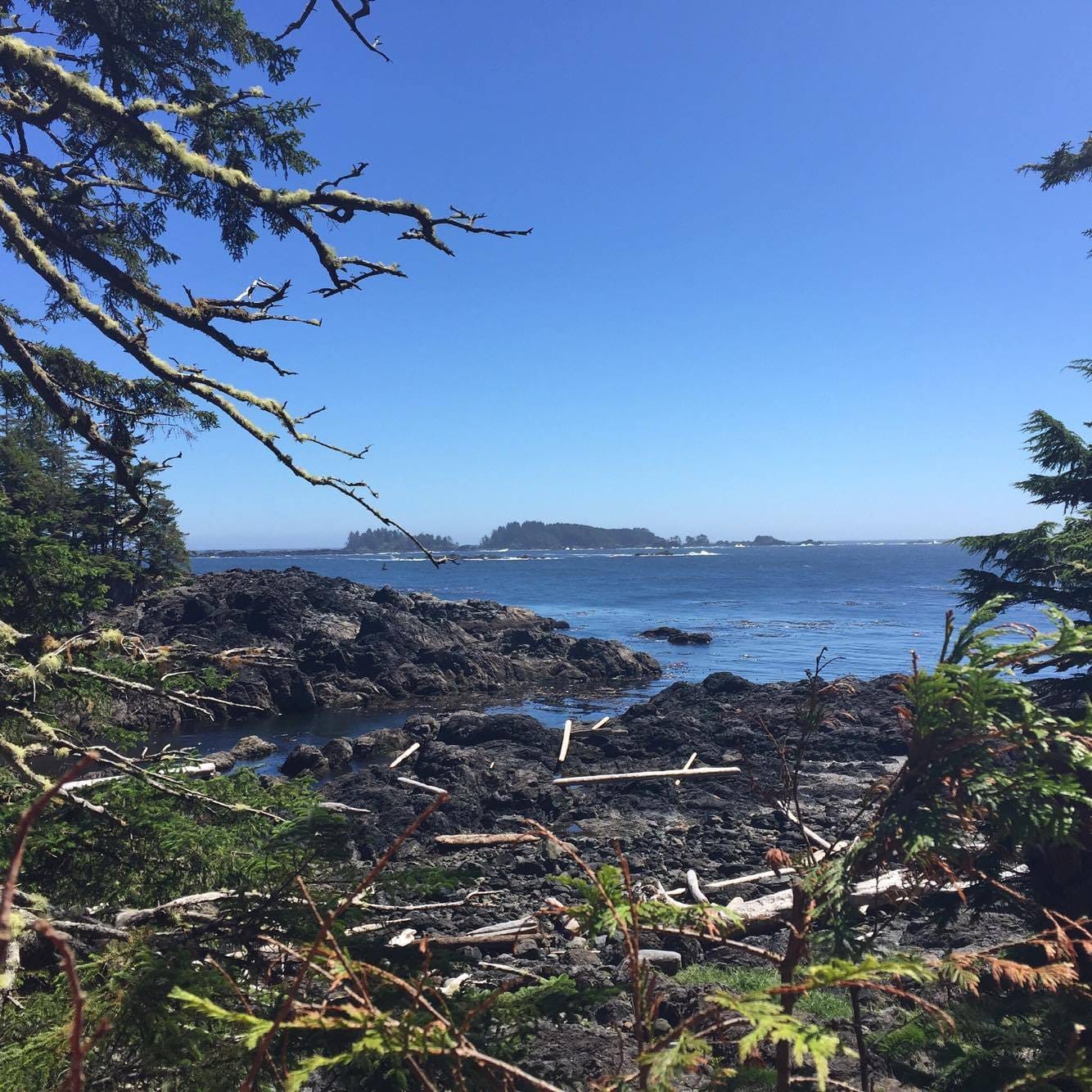 Guide to Vancouver Island