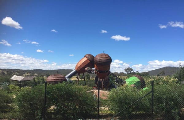 National Arboretum Canberra: photo 1