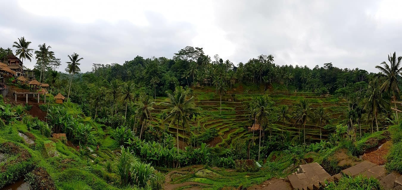 Things to do in Ubud, Bali, Indonesia