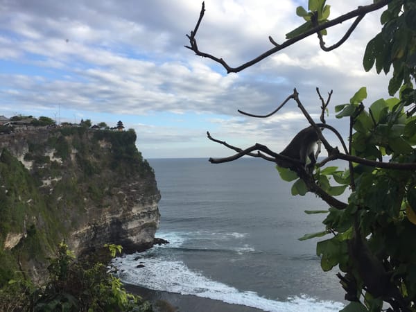 Bali : A small paradise.: photo 9
