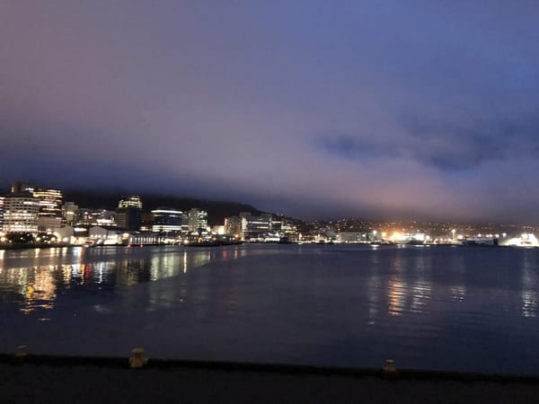 Wellington, the Windy City of Artists: photo 3