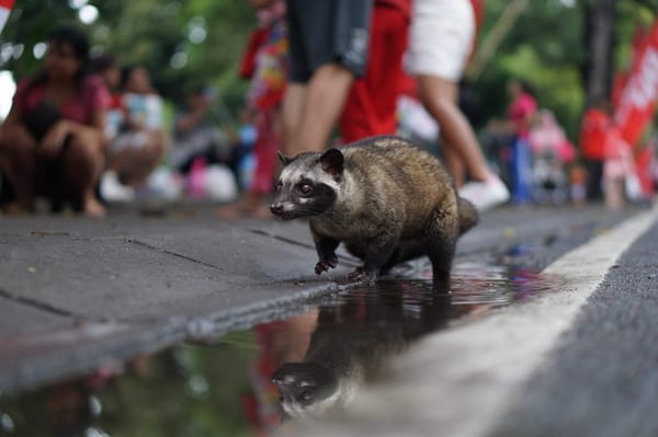 The Unusual Places Bali Tour Guides Won’t Mention: photo 1
