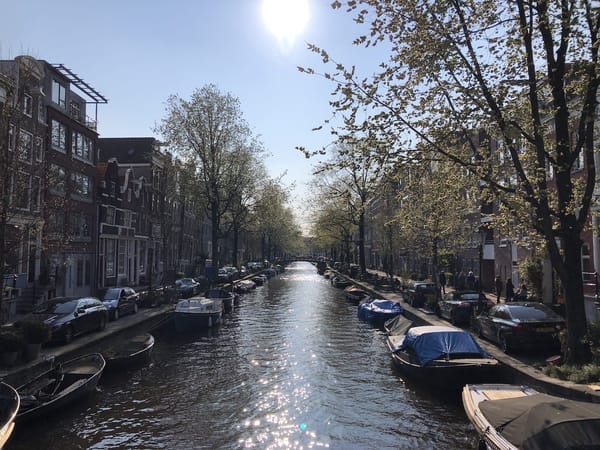 A Local’s Guide to Amsterdam: photo 4