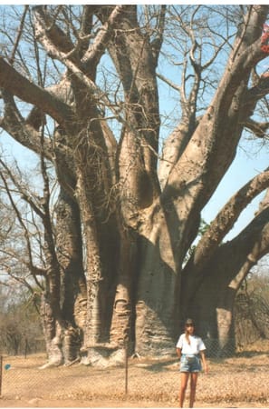 Africa  - the Beginning of a Lifetime Adventure: photo 1