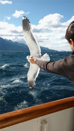 Argentina: three cities to visit in Patagonia: photo 6