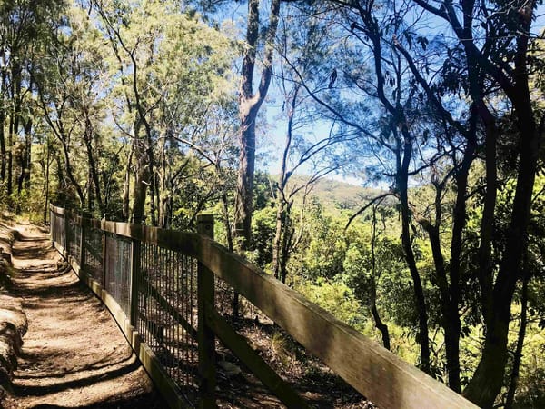 7 (Free) Places to Enjoy in Newcastle: photo 12