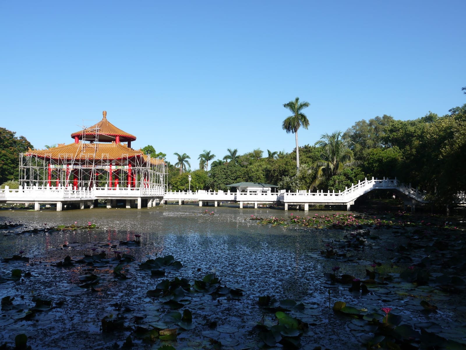 Enjoy Tainan as a Local