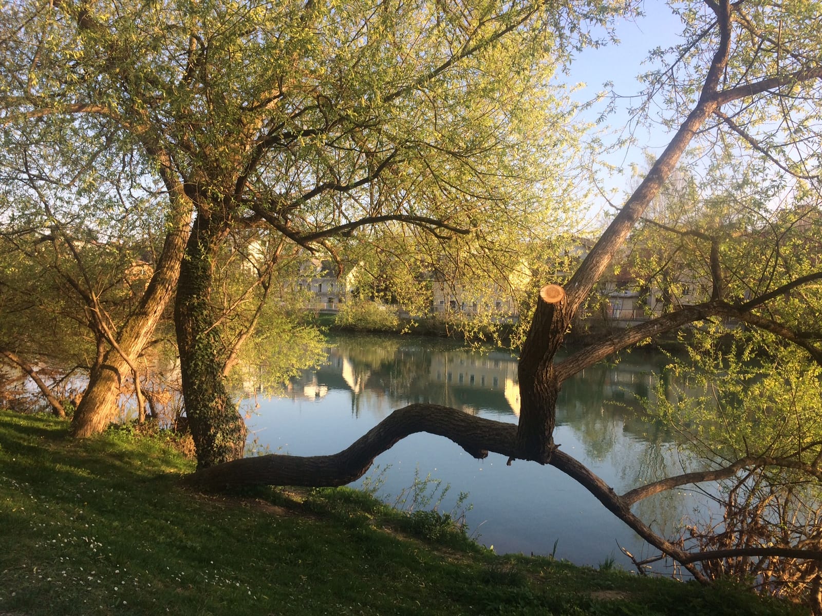 Spring in Novo mesto, Slovenia