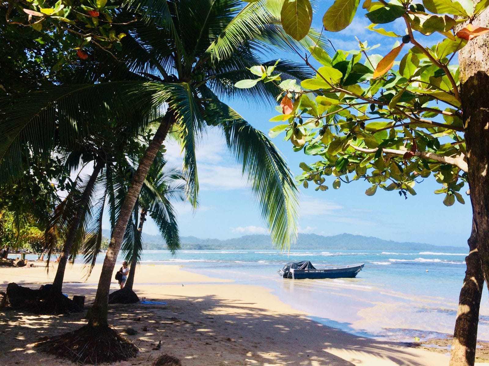 Caribbean Vibes and Pura Vida - Puerto Viejo