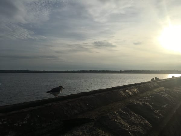 Newcastle - North-East England: photo 5