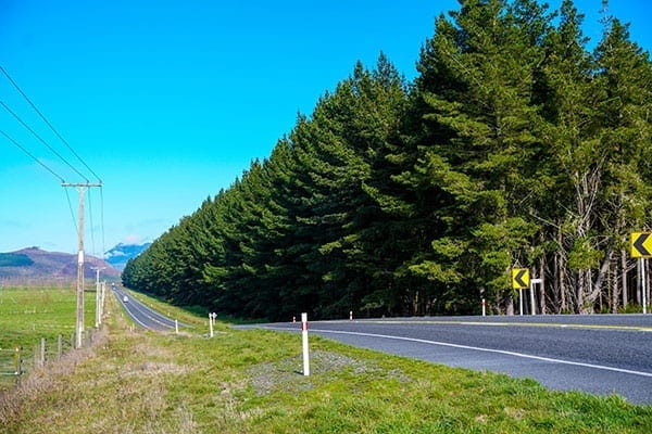 5 Road Trips from Christchurch: photo 2