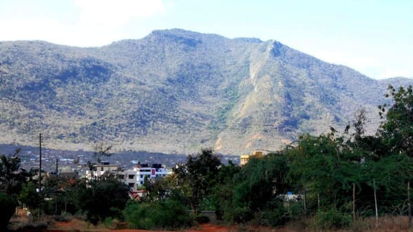 IN THE MIDST OF VOI TOWN: photo 1