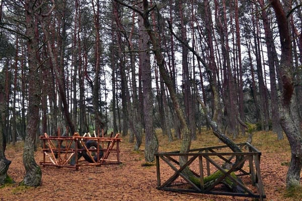 Curonian Spit National Park: photo 6