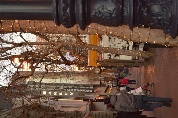 Winter in San Francisco: photo 8