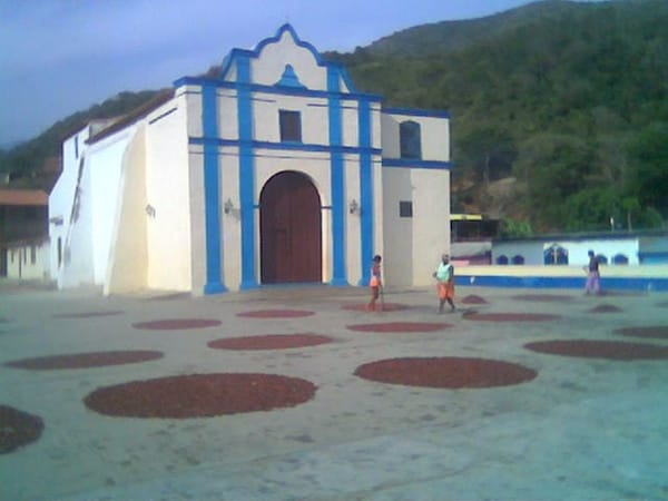 Chuao: a stunning place with denomination of origin cocoa: photo 8