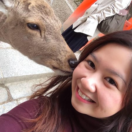 Japan's Nara Park: Deer-Central: photo 4