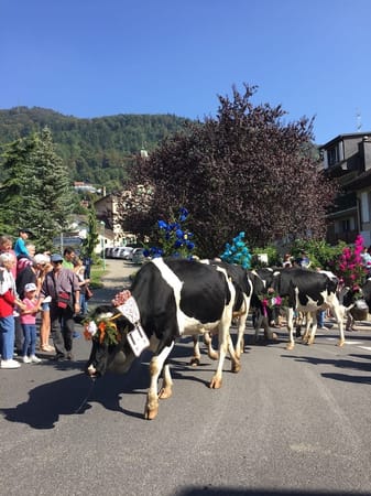 Four Seasons in the Swiss Riviera: photo 7