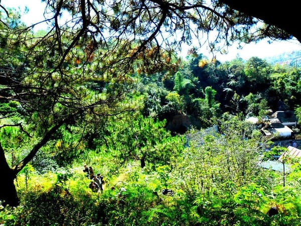 A Trip to Baguio City: Summer Capital of the Philippines: photo 4