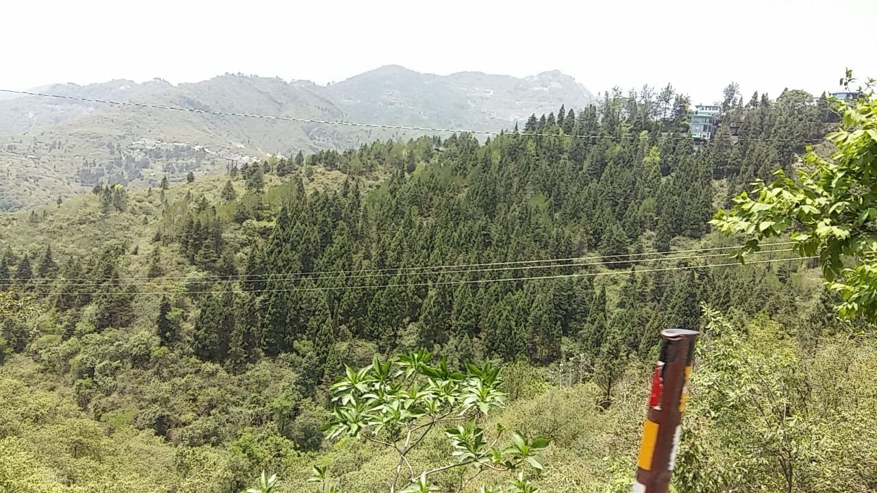 Best Places to Visit in Mussoorie, India